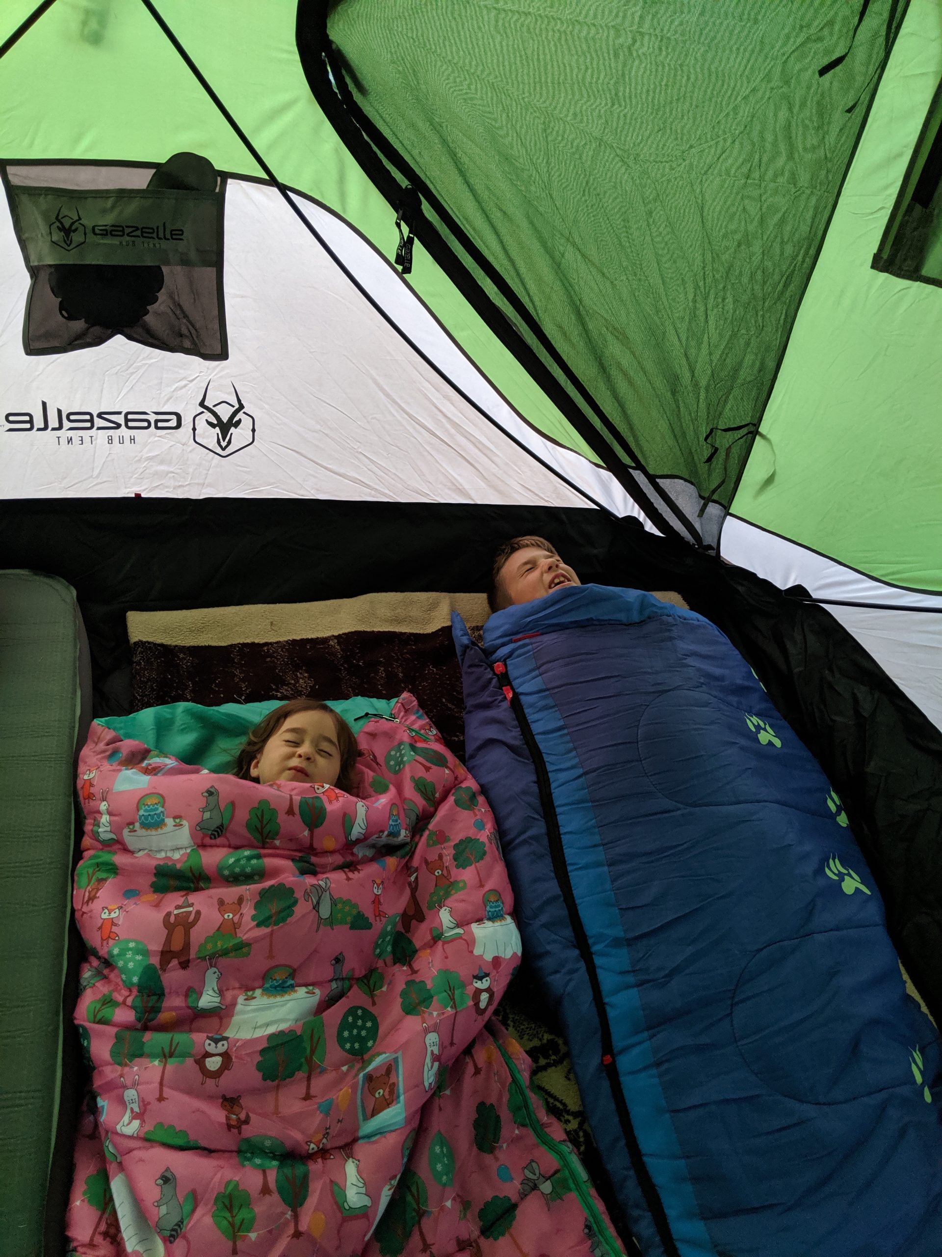 Gazelle Tent Review: one of the easiest camping tents I have ever