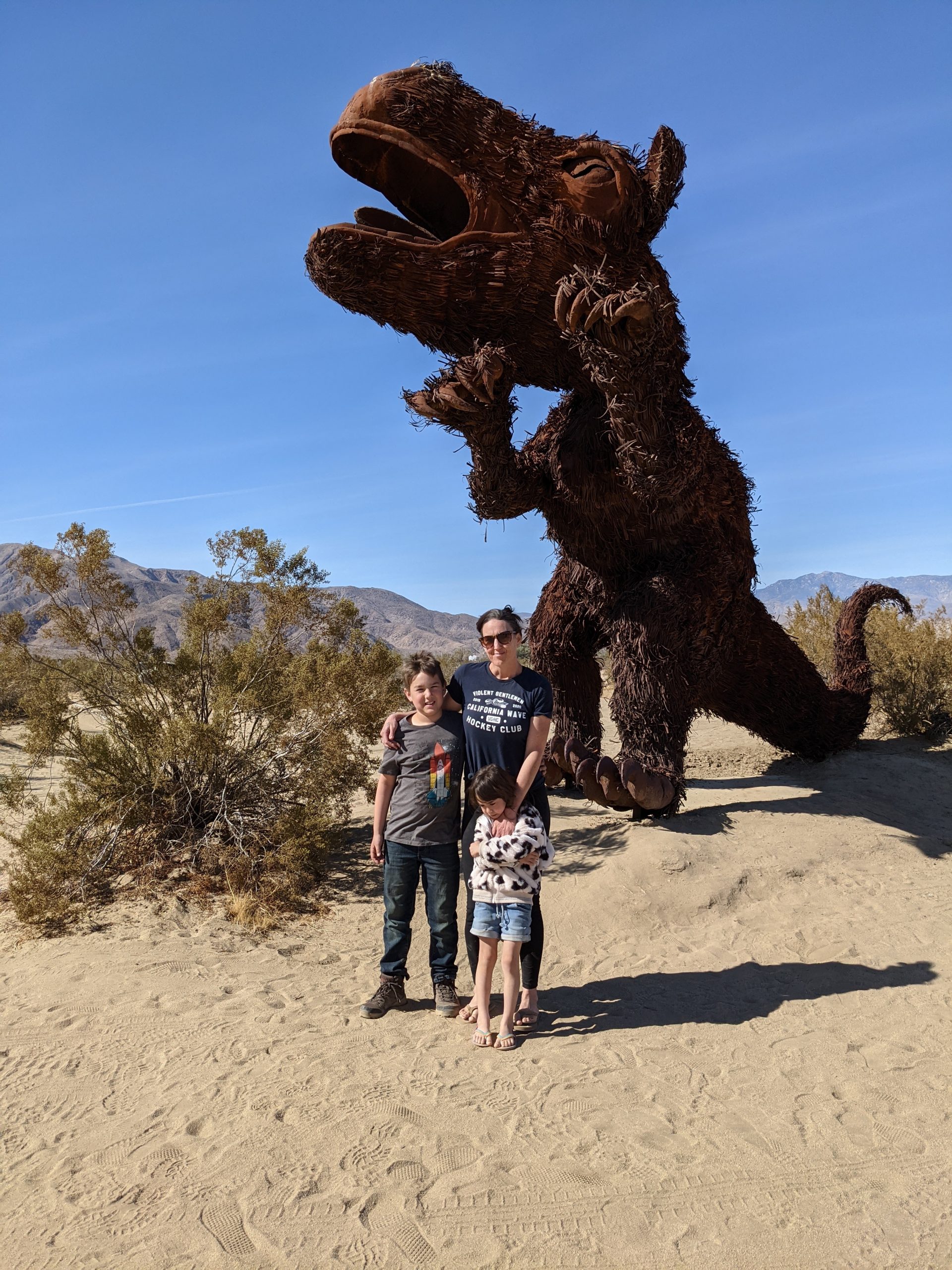 Maxsa Traction Boards Review Stuck in sand successful recovery story