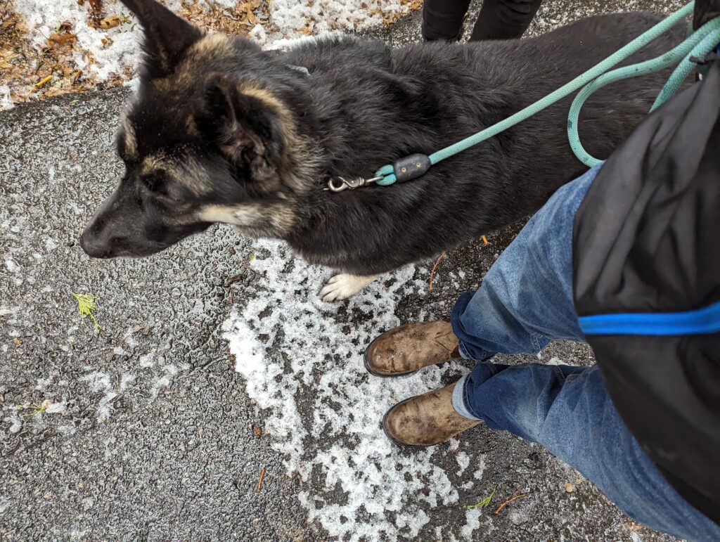 Review Blundstone Boots in the rain Dirt 'N Smores